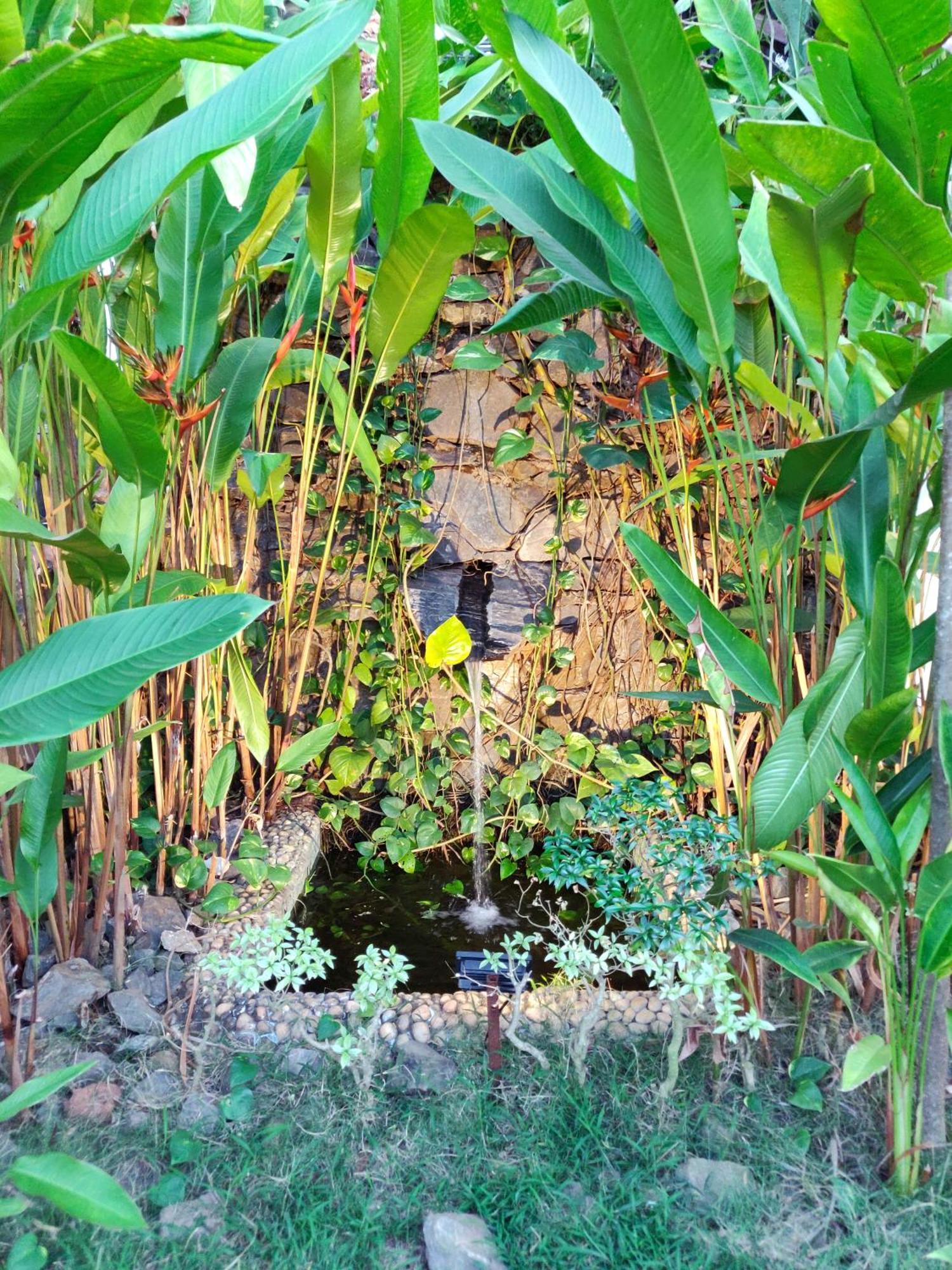 Rock Forest Goa Honeymoon Cottages Calangute Exteriér fotografie